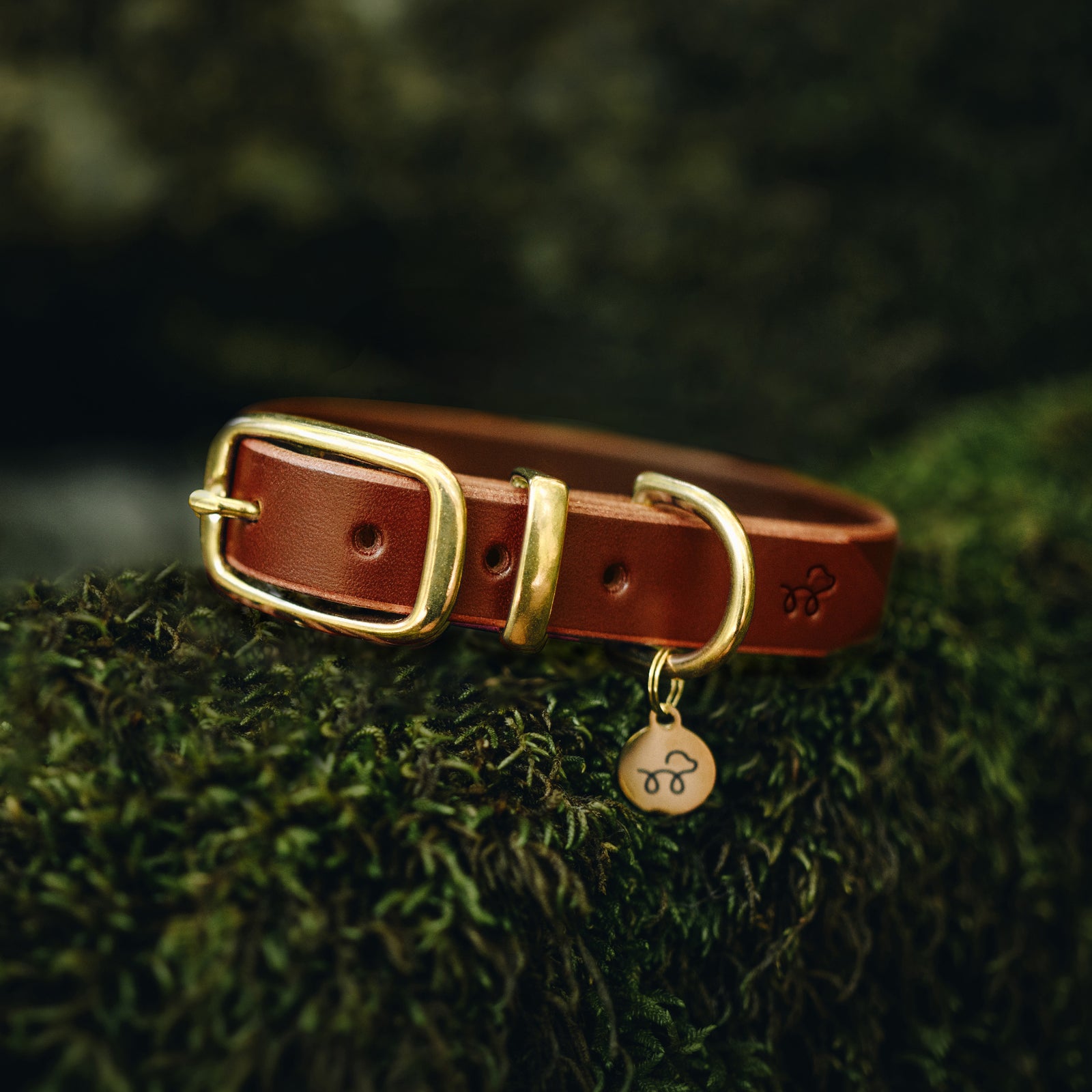 Acorn Brown Leather Collar