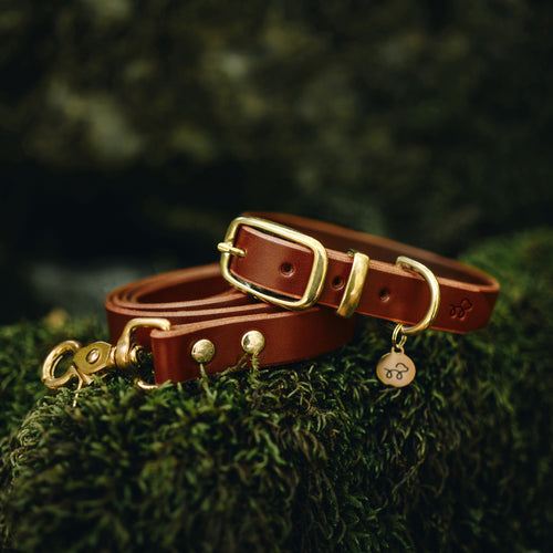 Acorn Brown Leather Collar and Lead Bundle