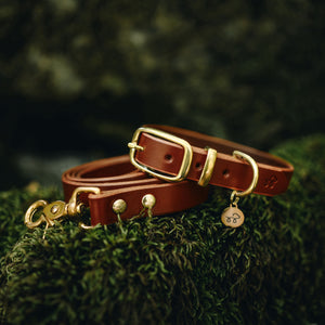 Chestnut Brown Leather Collar and Lead Bundle