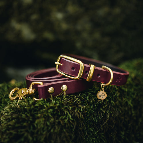 Beetroot Burgundy Leather Collar and Lead Bundle