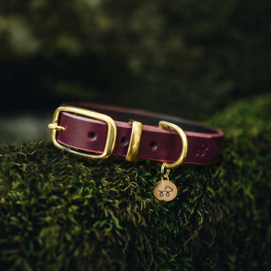 Beetroot burgundy - Leather dog collar with solid brass hardware