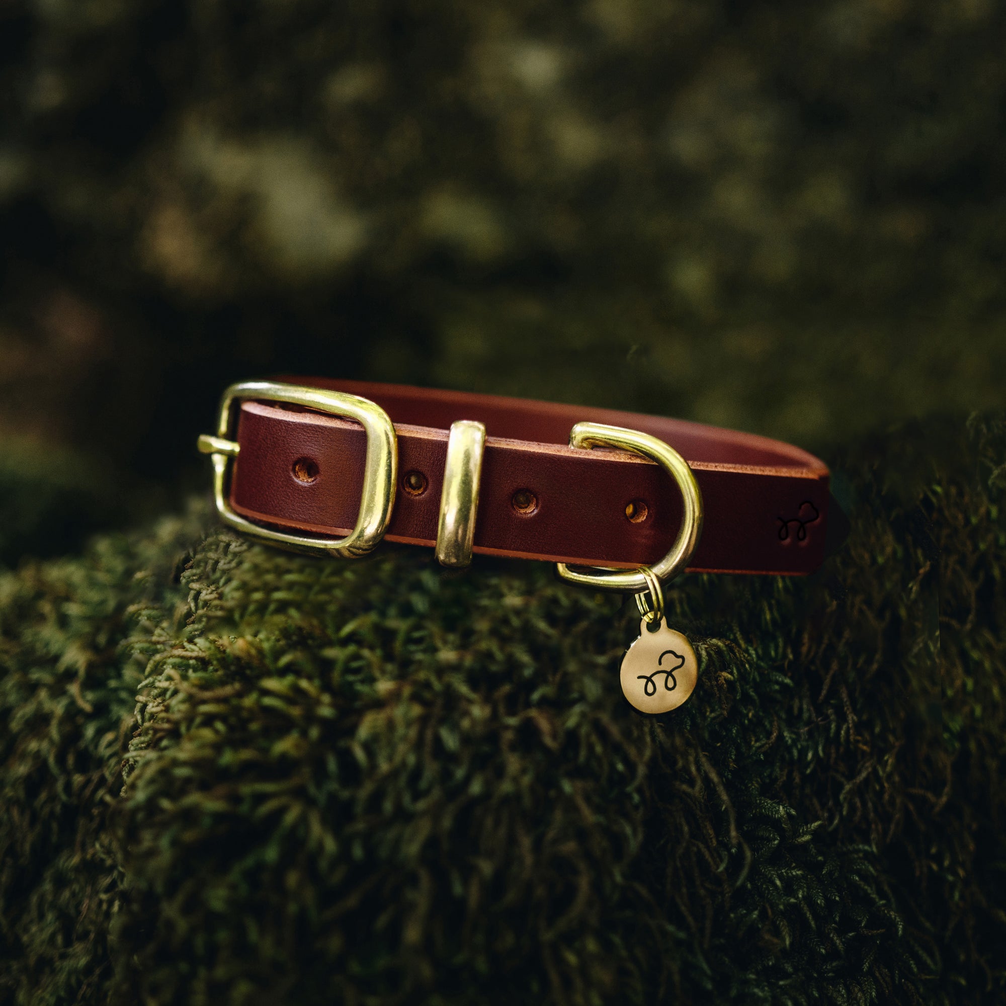 Acorn Brown Leather Collar