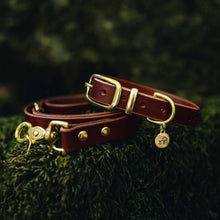 Load image into Gallery viewer, Acorn Brown Leather Collar and Lead Bundle