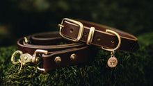 Load image into Gallery viewer, Acorn Brown Leather Collar and Lead Bundle