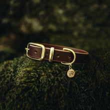 Load image into Gallery viewer, Conker Brown Leather Collar and Lead Bundle