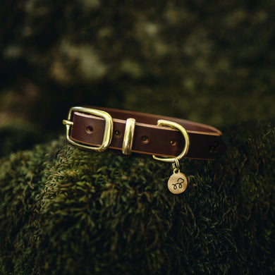 Conker Brown - Leather dog collar with solid brass hardware