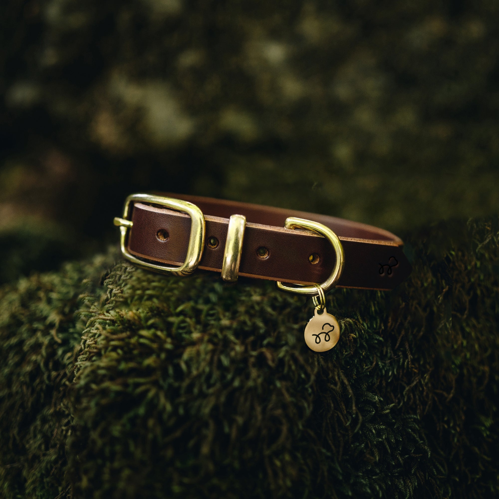 Acorn Brown Leather Collar