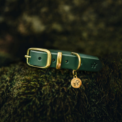 Forest Green - Leather dog collar with solid brass hardware