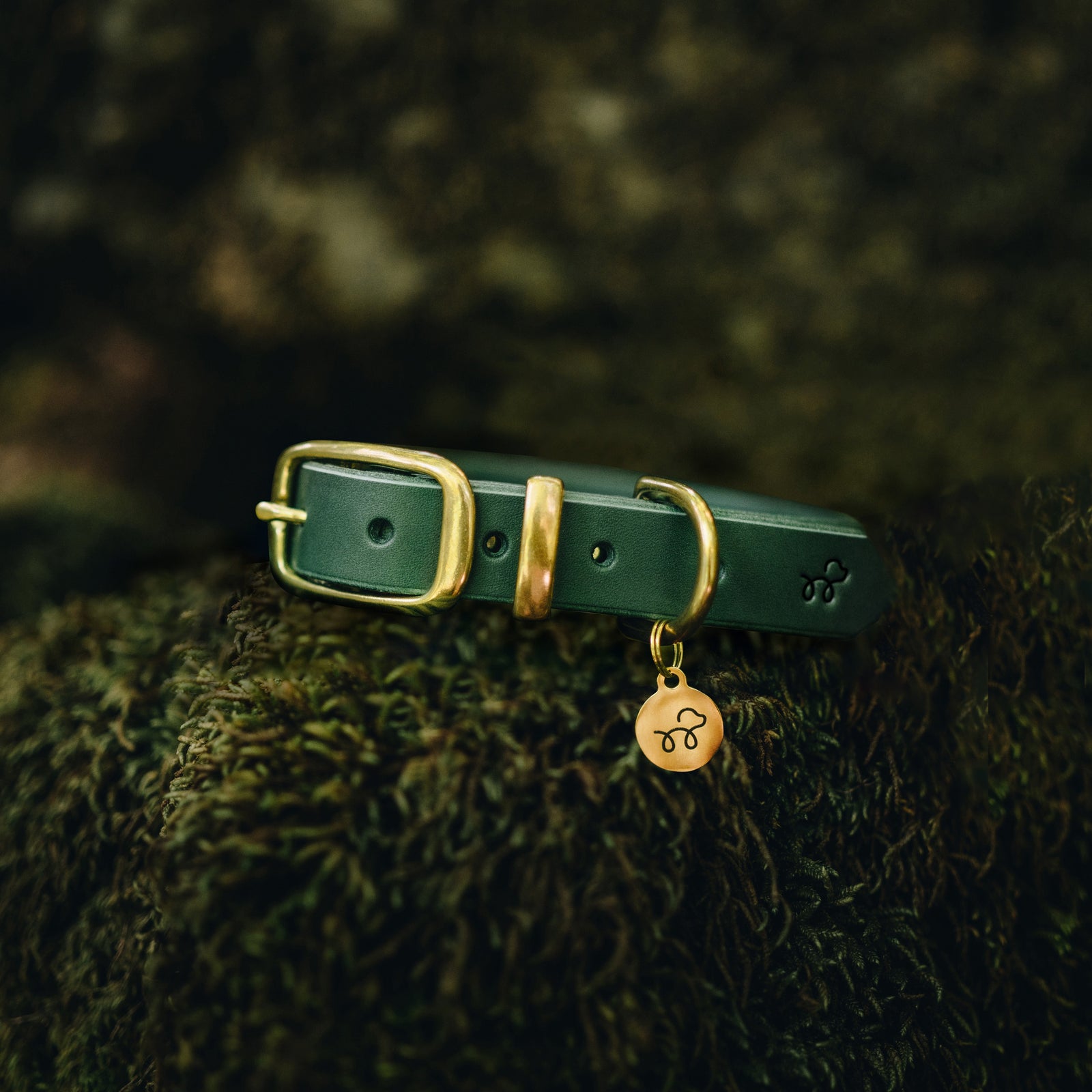 Acorn Brown Leather Collar