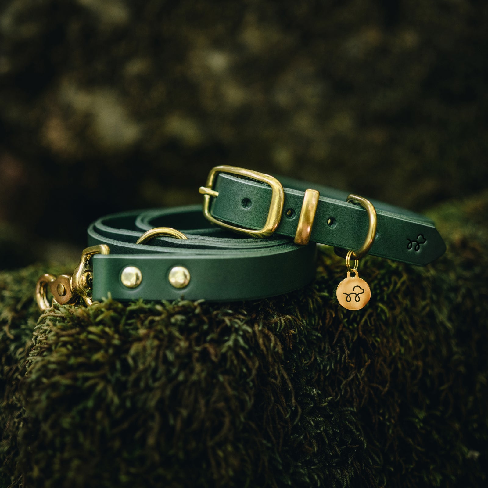 Forest Green Leather Collar and Lead Bundle