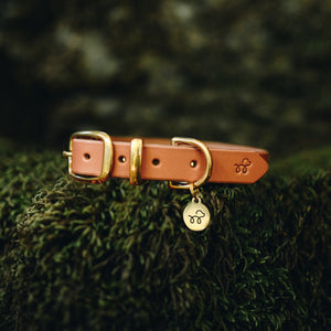 Acorn Brown Leather Collar