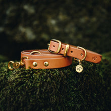 Load image into Gallery viewer, Acorn Brown Leather Collar and Lead Bundle