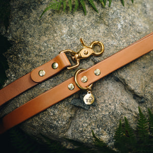 Acorn Brown Leather Lead