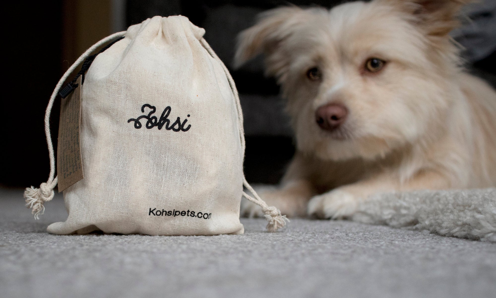 Forest Green Leather Collar and Lead Bundle