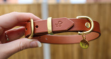 Load image into Gallery viewer, Acorn Brown - Leather dog collar with solid brass hardware