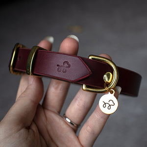 Beetroot burgundy - Leather dog collar with solid brass hardware