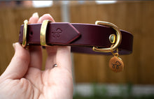 Load image into Gallery viewer, Beetroot burgundy - Leather dog collar with solid brass hardware