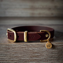 Load image into Gallery viewer, Conker Brown - Leather dog collar with solid brass hardware