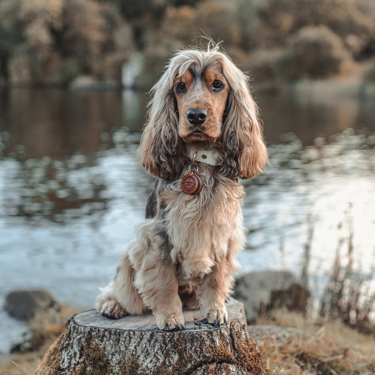 Explorer - Double Saddle Tan Leather ID Tag