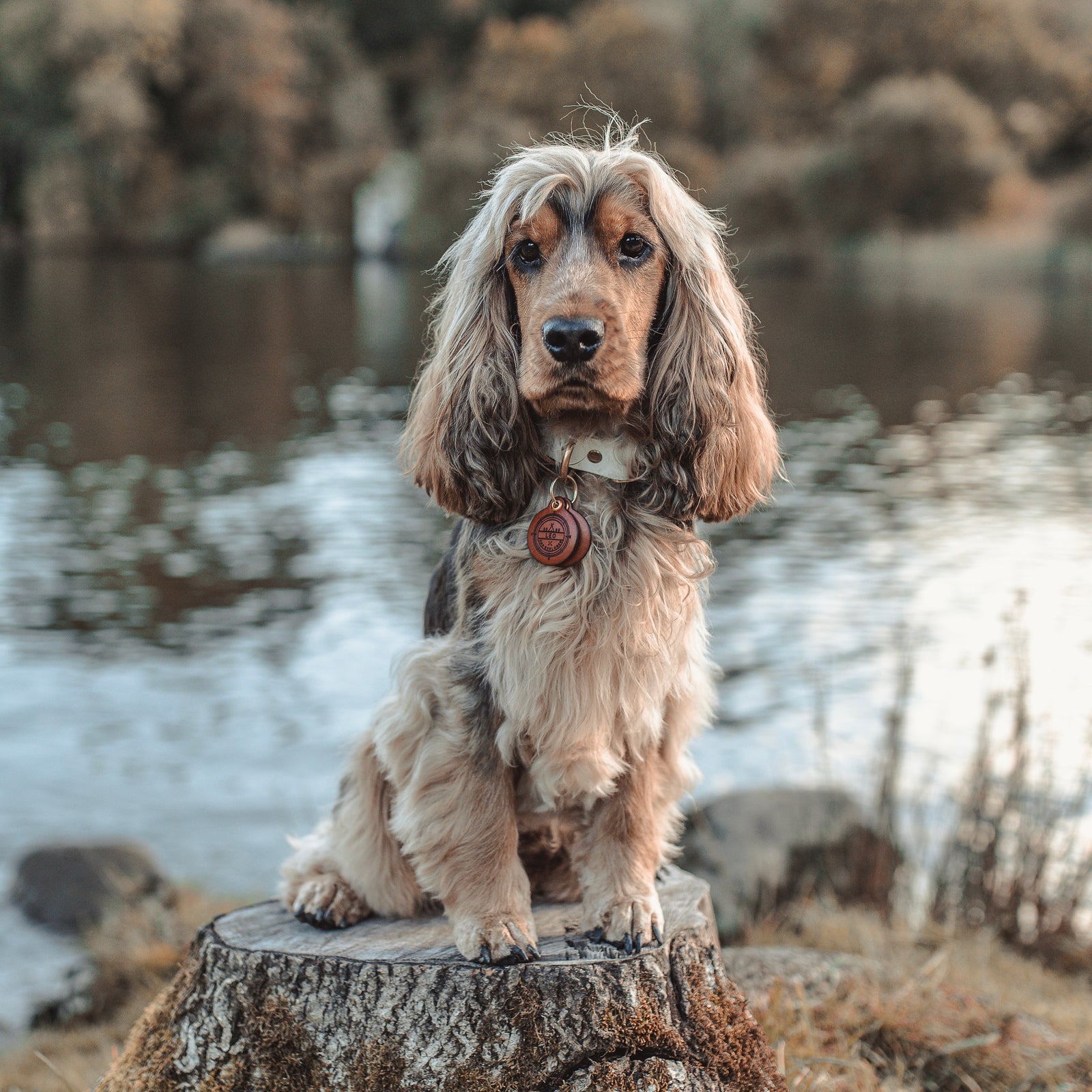 Explorer - Double Saddle Tan Leather ID Tag
