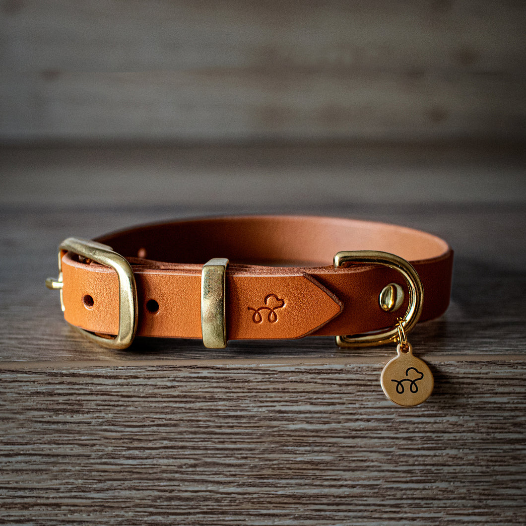 Raw Sienna - Leather dog collar with solid brass hardware