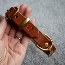Load image into Gallery viewer, Acorn Brown - Leather dog collar with solid brass hardware