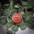 Vintage Adventurer - Double Saddle Tan Leather ID Tag