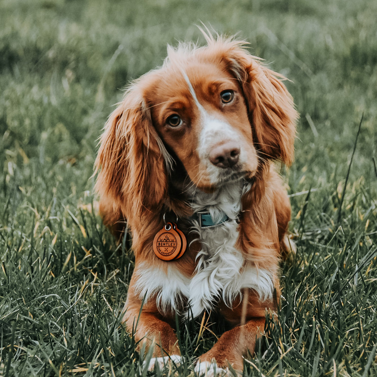 The Adventurer - Double Saddle Tan Leather ID Tag