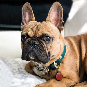 Mahogany - Miniature double personalised leather dog tag
