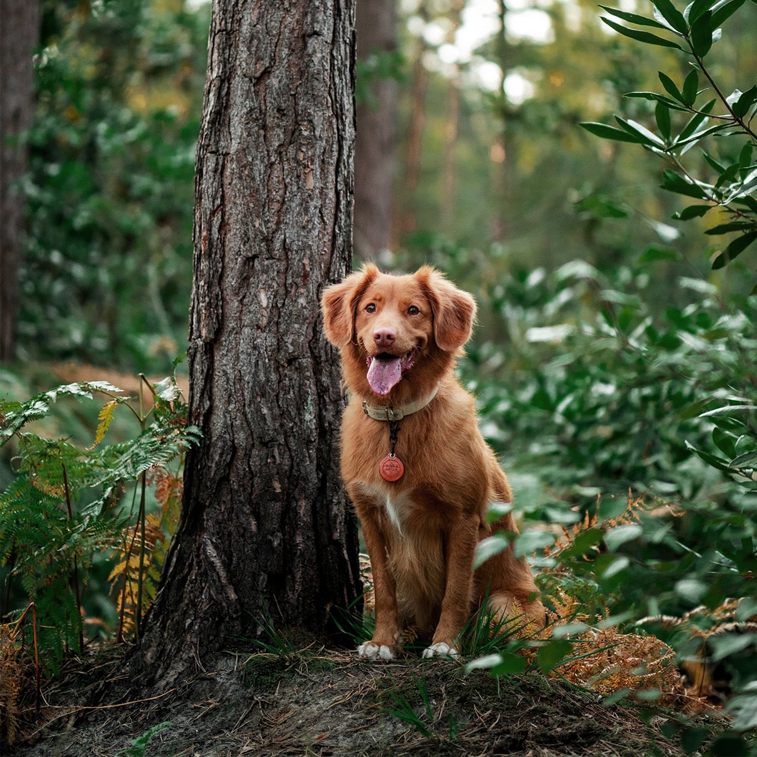 The Adventurer - Double Saddle Tan Leather ID Tag