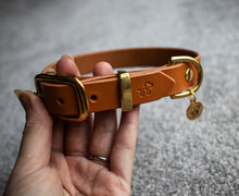 Load image into Gallery viewer, Raw Sienna - Leather dog collar with solid brass hardware