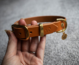 Raw Sienna - Leather dog collar with solid brass hardware